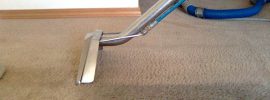 cleaning carpets without a vacuum