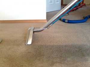wool carpet